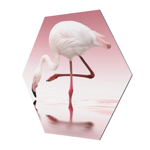 Cuadros decorativos Flamingo Dance