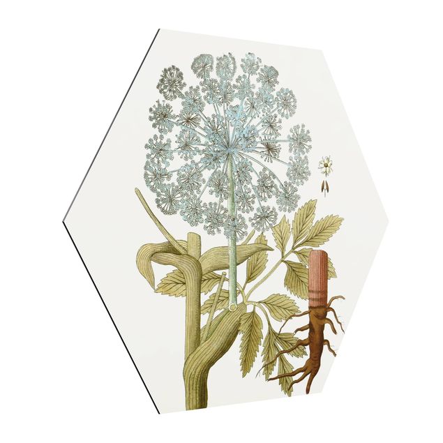 Cuadros decorativos modernos Wild Herbs Board III