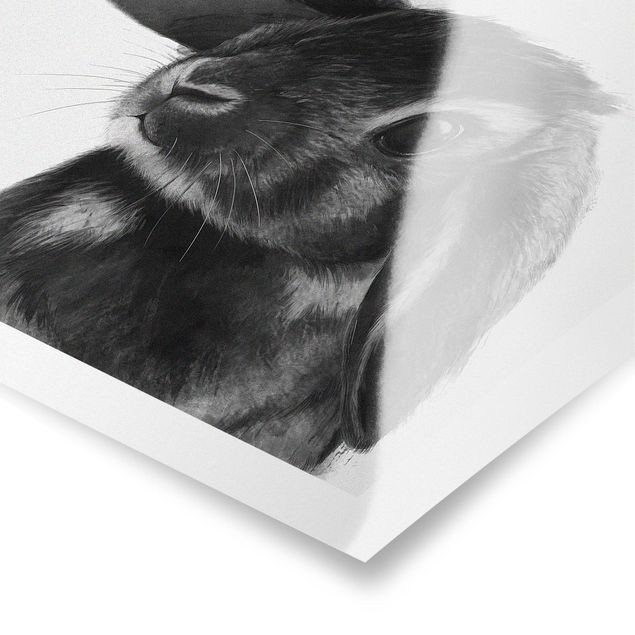 Cuadros Laura Graves Arte Illustration Rabbit Black And White Drawing
