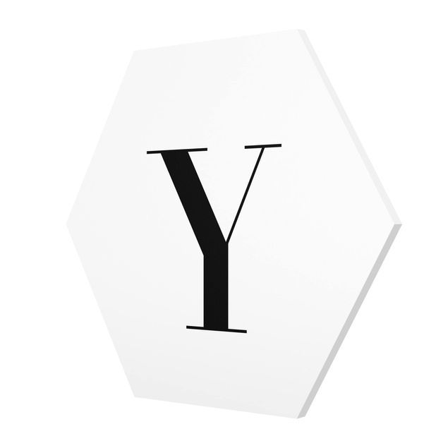 Cuadros hexagonales Letter Serif White Y