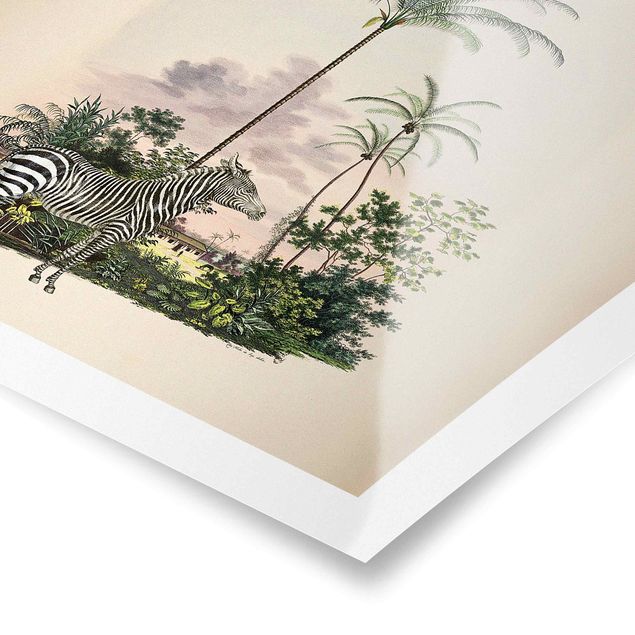 Póster vintage  Zebra Front Of Palm Trees Illustration