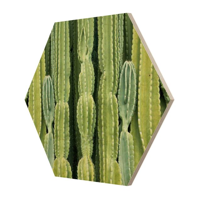 Hexagon Bild Holz - Kaktus Wand