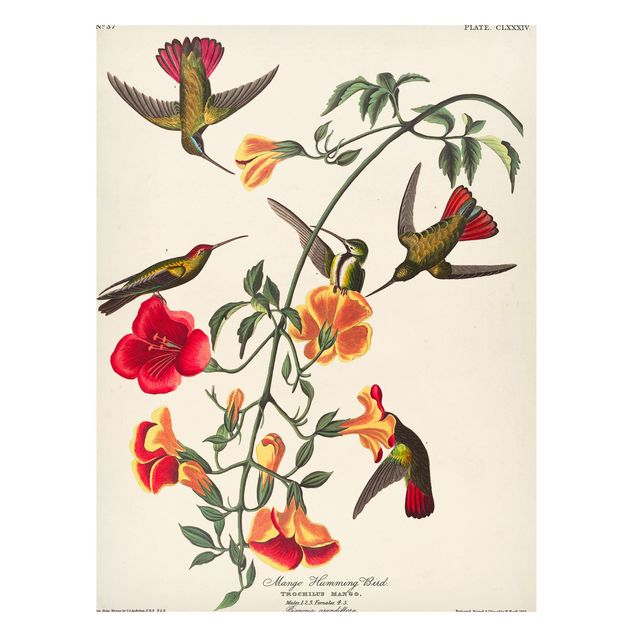 Tableros magnéticos flores Vintage Board Mango Hummingbirds