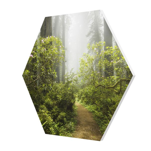 Cuadros tonos verdes Misty Forest Path