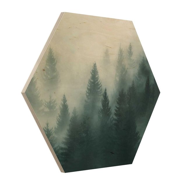 Cuadros hexagonales Coniferous Forest In Fog