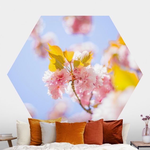Papel pintado floral Colourful Cherry Blossoms