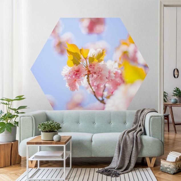 Papel pintado moderno Colourful Cherry Blossoms