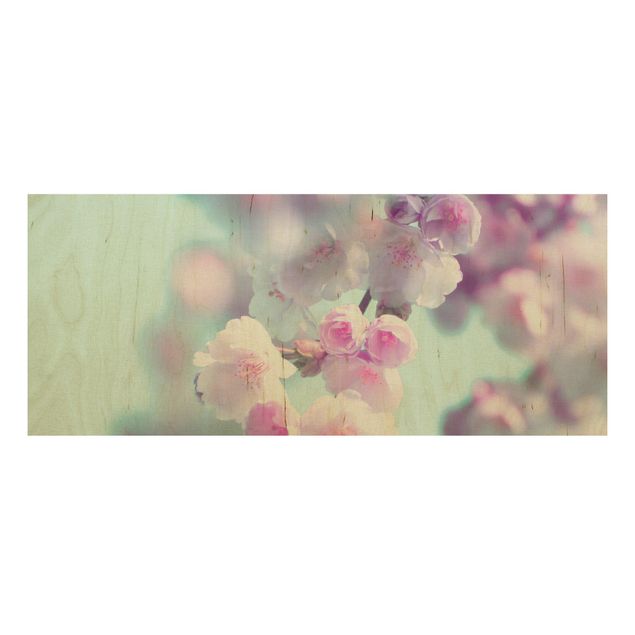 Cuadros de madera flores Colourful Cherry Blossoms