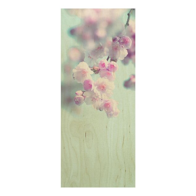 Cuadros de madera flores Colourful Cherry Blossoms
