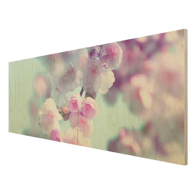 Cuadros de Monika Strigel Colourful Cherry Blossoms