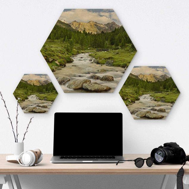 Hexagon Bild Holz - Debanttal Nationalpark Hohe Tauern