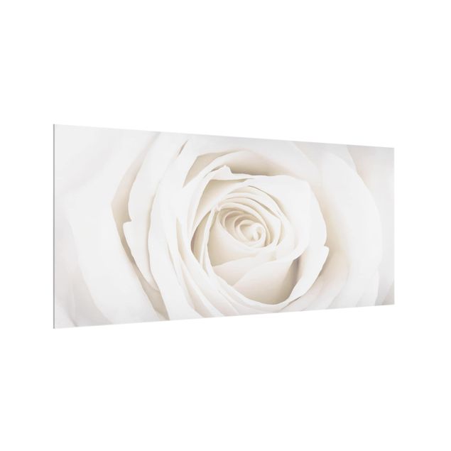 panel-antisalpicaduras-cocina Pretty White Rose