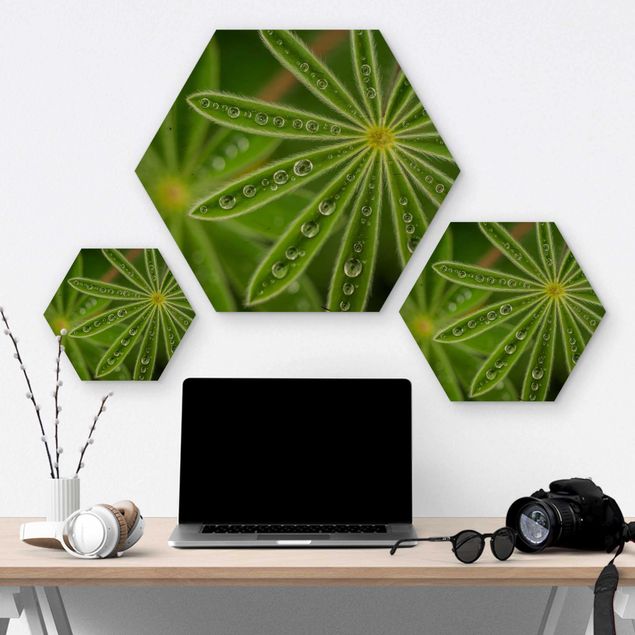 Hexagon Bild Holz - Morgentau auf Lupinenblättern