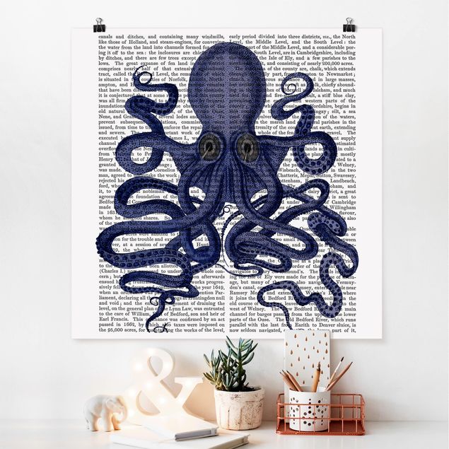 Láminas frases Animal Reading - Octopus