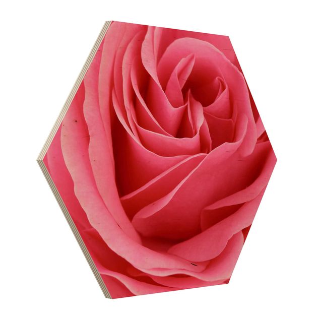 Cuadros hexagonales Lustful Pink Rose