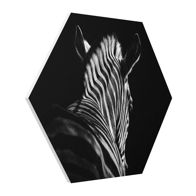 Cuadros infantiles animales Dark Zebra Silhouette