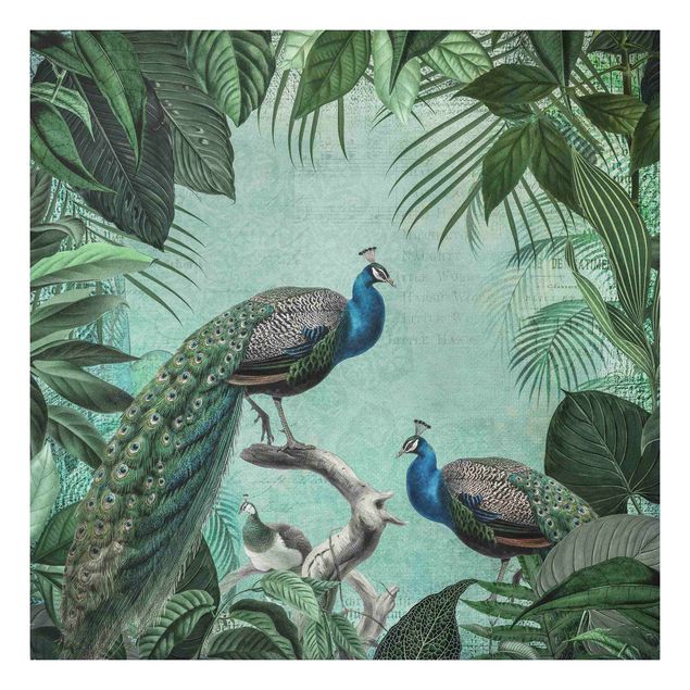Cuadros de plantas naturales Shabby Chic Collage - Noble Peacock