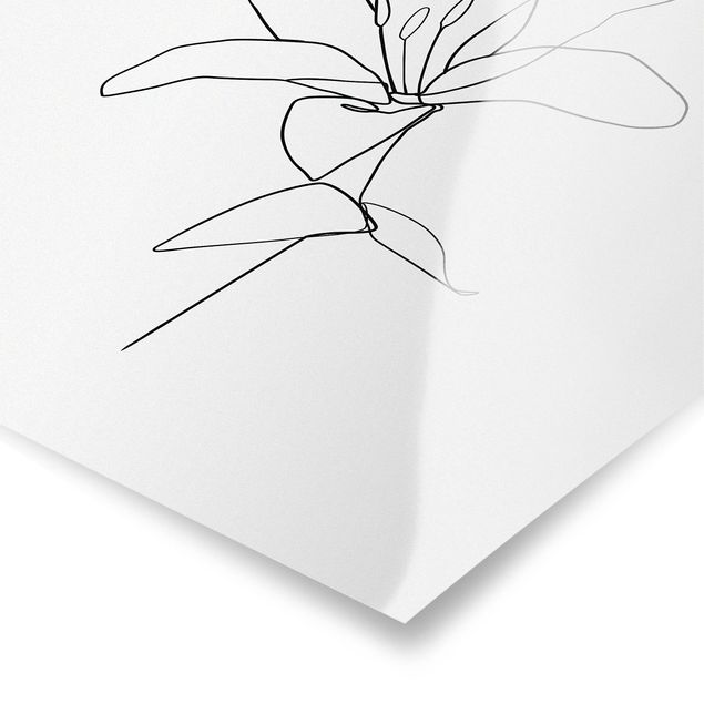 Cuadros en blanco y negro Line Art Flower Black White