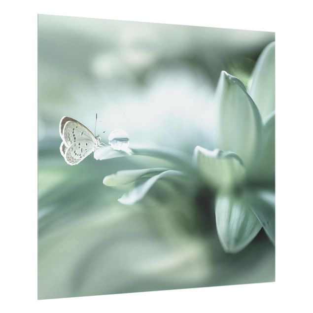 panel-antisalpicaduras-cocina Butterfly And Dew Drops In Pastel Green