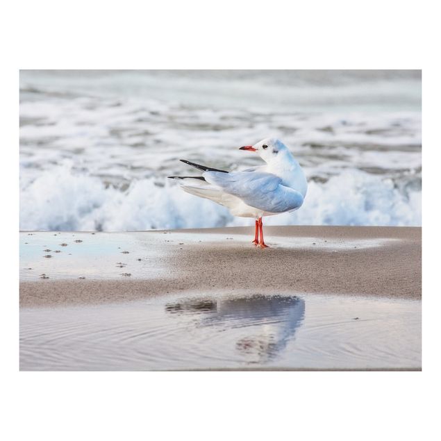 Cuadros de paisajes naturales  Seagull On The Beach In Front Of The Sea