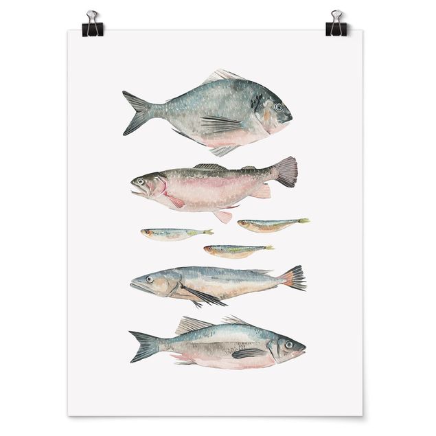 Cuadros decorativos modernos Seven Fish In Watercolour II