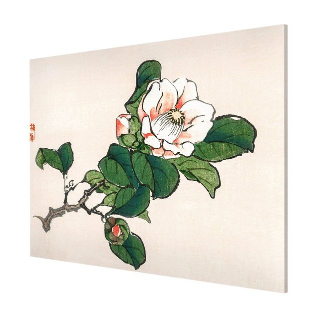 Cuadros de plantas naturales Asian Vintage Drawing Apple Blossom