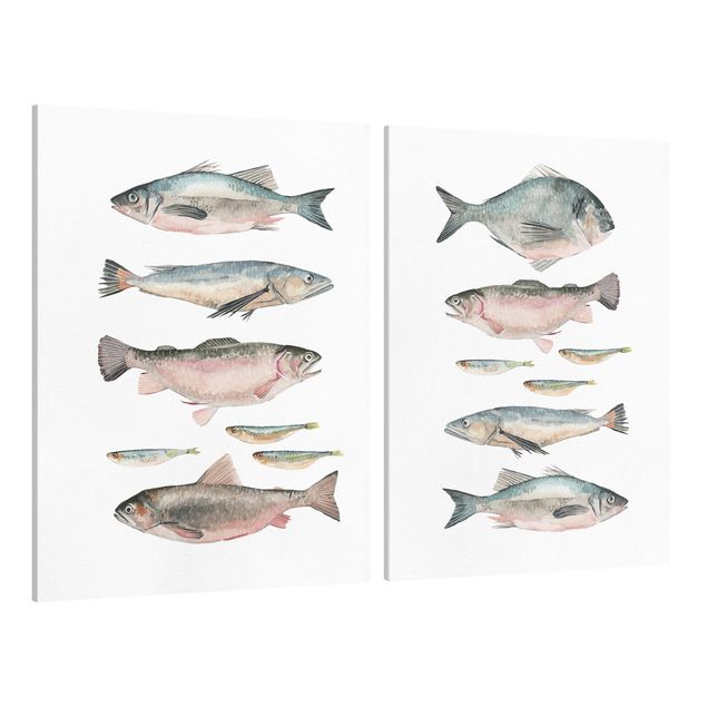 Lienzos animales Fish In Watercolour Set I