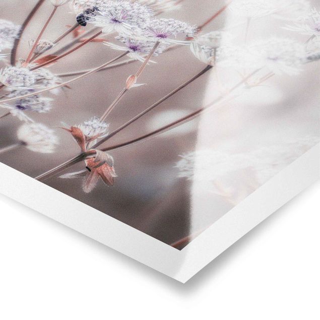 Cuadros de Monika Strigel Wild Flowers Light As A Feather