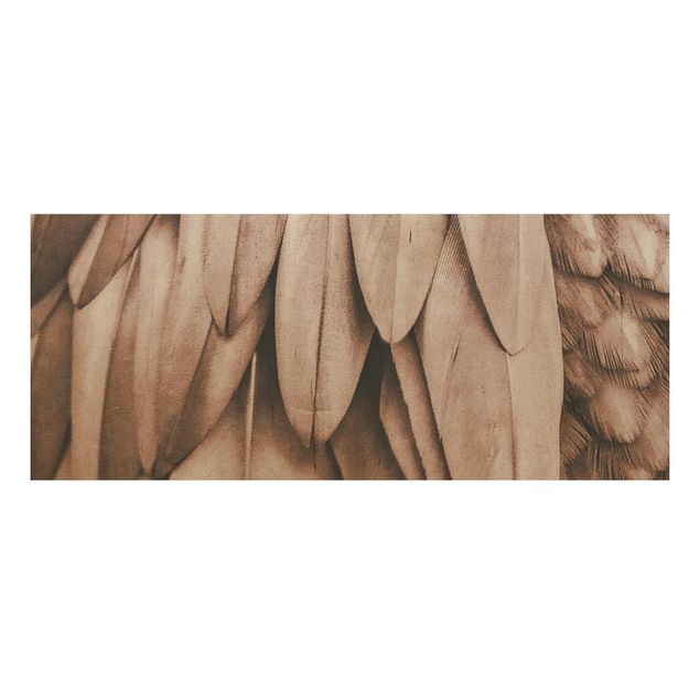 Cuadros de Monika Strigel Feathers In Rosegold