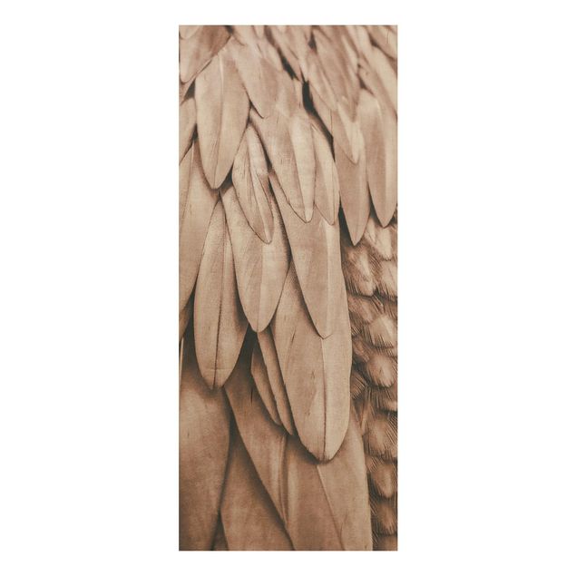 Cuadros de Monika Strigel Feathers In Rosegold