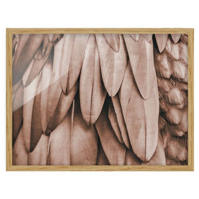 Cuadros en tonos beige y marrón Feathers In Rosegold