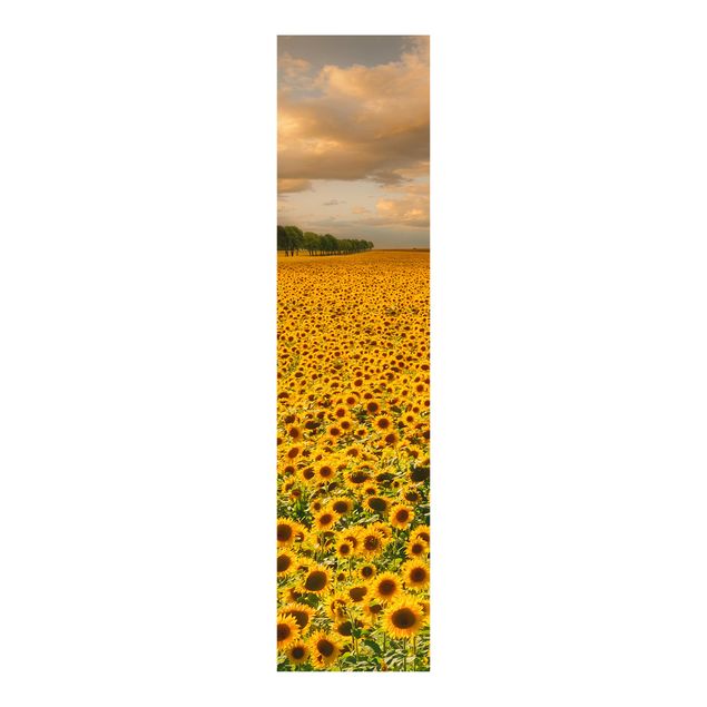 Paneles japoneses flores Field With Sunflowers