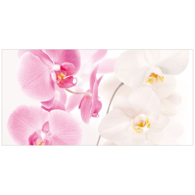 Vinilos de flores para cristales Delicate Orchids