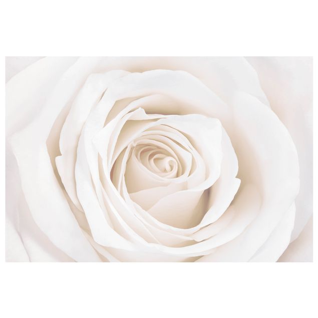 Vinilos de flores para cristales Pretty White Rose