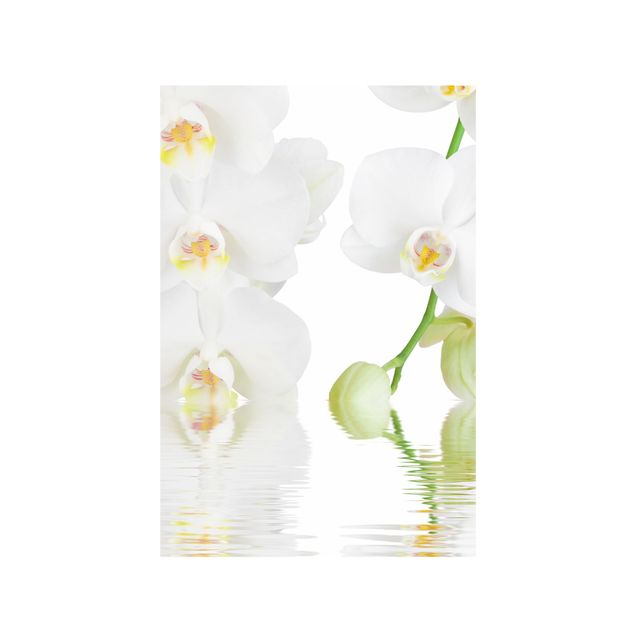 Vinilos de flores para cristales Spa Orchid - White Orchid