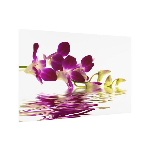Paneles de vidrio para cocinas Pink Orchid Waters