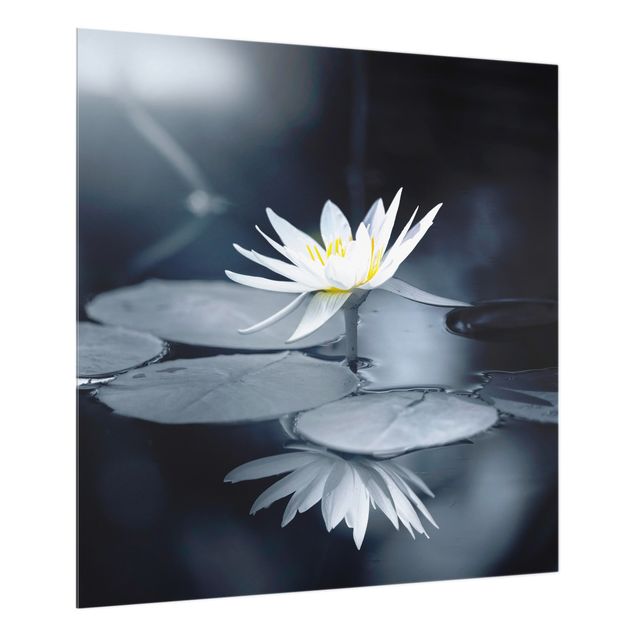 Salpicadero cocina cristal Lotus Reflection In The Water