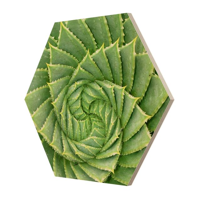 Hexagon Bild Holz - Spiral Aloe