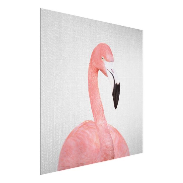 Cuadros de cristal animales Flamingo Fabian