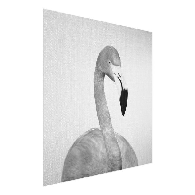 Cuadros de cristal animales Flamingo Fabian Black And White