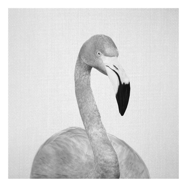 Cuadros a blanco y negro Flamingo Fabian Black And White
