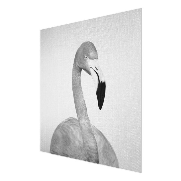Cuadros de Gal Design Flamingo Fabian Black And White