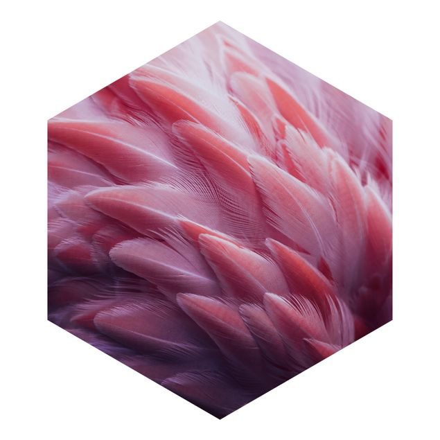 Papel pintado hexagonal Flamingo Feathers Close-Up