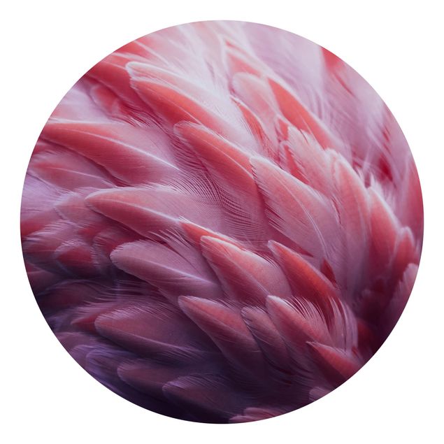 Papel pintado infantil animales Flamingo Feathers Close-Up