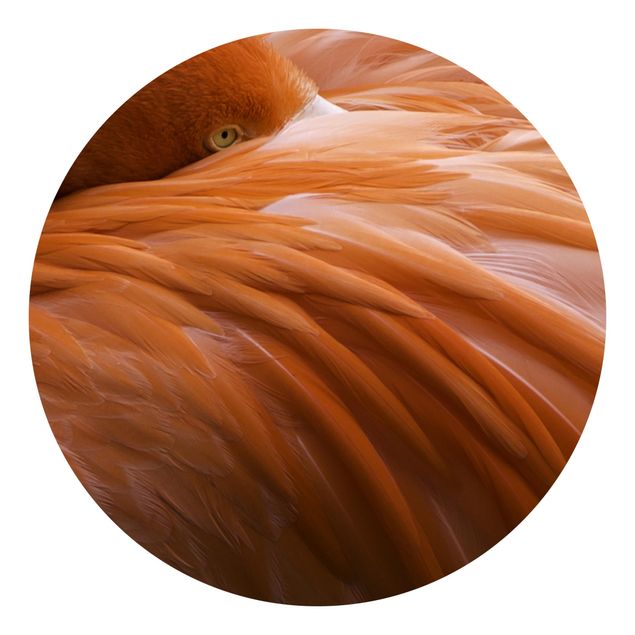 Papel pared animales Flamingo Feathers