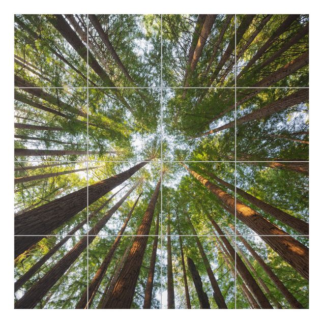 Adhesivos para azulejos en verde Sequoia Tree Tops