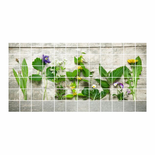 Adhesivos para azulejos Medicinal And Meadow Herbs