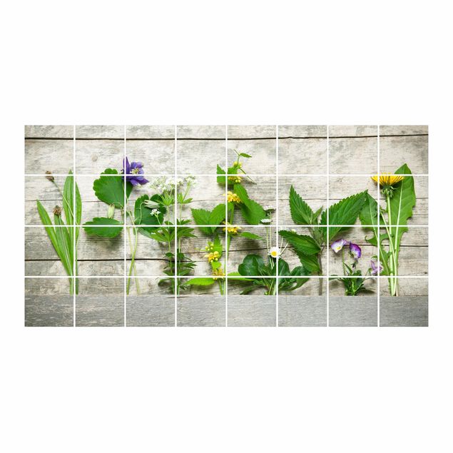 vinilo para azulejos cocina Medicinal And Meadow Herbs