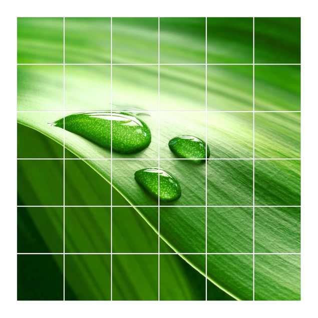 Adhesivos para azulejos en verde Banana Leaf With Drops