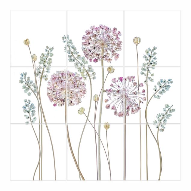 Adhesivos para azulejos Allium Illustration